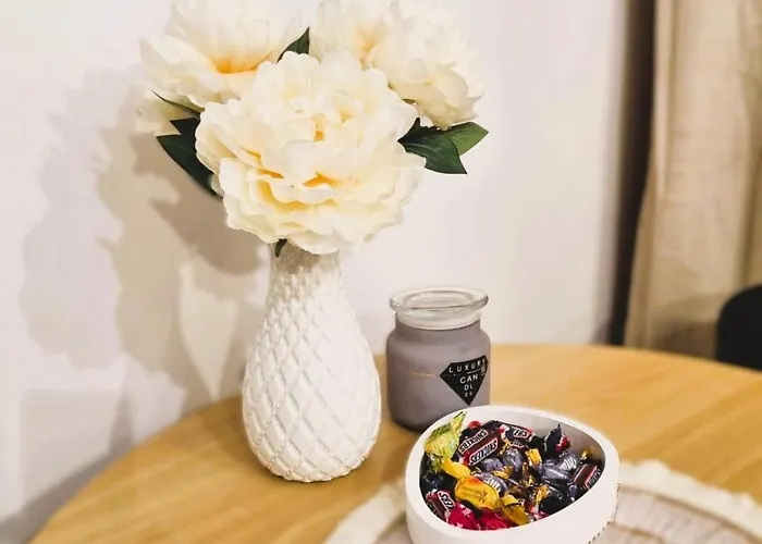 Good Vibes צ'סטוצ'ובה